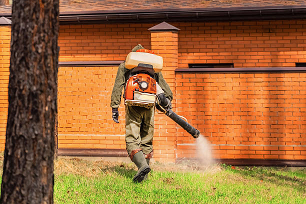 Trusted Cockroach Control service in Amboy, WA - Nex Pest Control